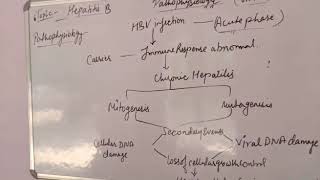 Bpharm  pathophysiology topic Hepatitis B disease part 2 [upl. by Eliath254]