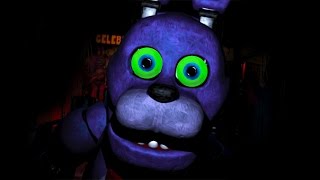 Five Nights at Freddys 5  FINALLY FINISHED [upl. by Elicul884]