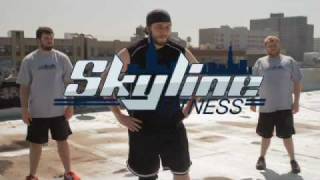 Skyline Fitness Arms [upl. by Edahc]