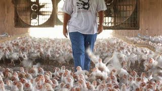 Obamas Game of Chicken How The Obama Admin Tried to Take on Big Agriculture with Lina Khan [upl. by Fiedling383]