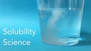 Solubility Science – STEM Activity [upl. by Liauqram]