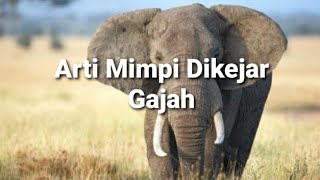 Arti Mimpi Dikejar Gajah Menurut Islam Primbon Dan Psikologi [upl. by Hillinck]