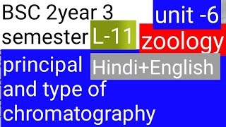 BSC 2nd year 3 zoology topic Principle and type of chromatography [upl. by Conn]