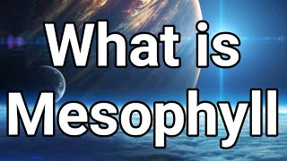 What is Mesophyll UrduEnglish [upl. by Luar]