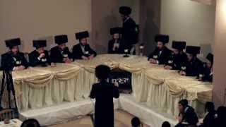 Shloime Taussig and Yedidim Choir  Yoisef Hashem [upl. by Oahc]