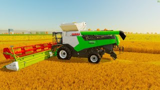 FS22 TRITICALE HARVESTING WITH 2 COMBINE NEW HORIZONS FARM [upl. by Sherurd]