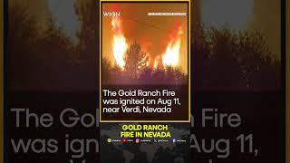 Firefighters battle Gold Ranch Fire in Nevada  WION Shorts [upl. by Aelrac]