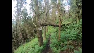 mtb trail run with gavinr32 and a few of his mates black trail shack track Clydach Vale rhondda [upl. by Pohsib]