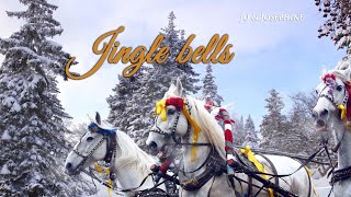 Jingle Bells  Weihnachtslied auf Deutsch mit Liedtext zum Mitsingen  Gesangsduo Jo amp Josephine [upl. by Sy]