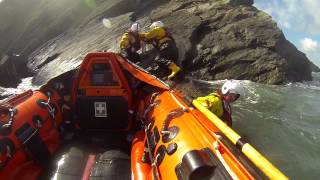 Springer spaniel rescued by RNLI after a week trapped on rocks near Minehead [upl. by Etnad]