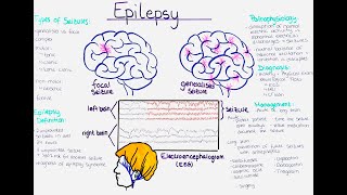 Understanding Epilepsy Pathophysiology Seizure Types Diagnosis Treatment Prevention 1st aid [upl. by Hendricks]