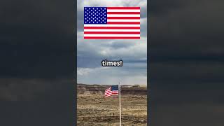 The Surprising Origin of the American Flag [upl. by Ayisan653]