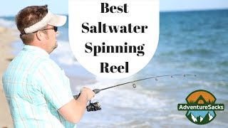 Whats The Best Saltwater Spinning Reel Shimano vs Penn vs Daiwa [upl. by Nylanaj]