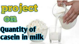 project on quantity of casein in milk for class 12th [upl. by Hendricks]