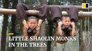 Young Chinese Shaolin monks display amazing feats of flexibility [upl. by Llenej]