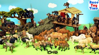 Safari Animal Toys Figurines Collection [upl. by Adlitam]