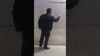 Mechanism of Micturition  Excretory Product amp Their Elimination  Process Of Urination  Part2 [upl. by Eldreeda]