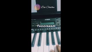 Thoovanam  Instrumental cover by Dev Chathu [upl. by Rosane105]