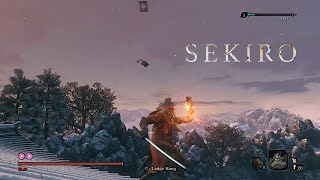 Sekiro  Nightjar Ninja sleeps with the fishes [upl. by Nhojleahcim]