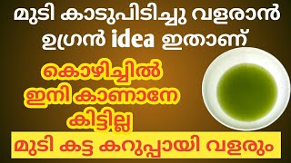 Hair growth tips Daily Black hair growth malayalam [upl. by Ati]