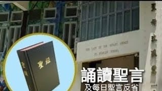 每日誦讀聖言（宗5：2633）2024年3月22（五） 新增「每日聖言反省」 [upl. by Aillicsirp908]