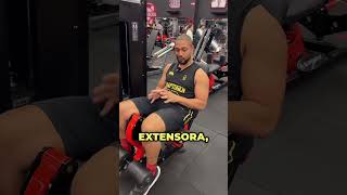 LATERAL DA COXA NÃO CRESCE  coxas agachamento agachaquecresce hipertrofia mulherfit gym [upl. by Aynam]