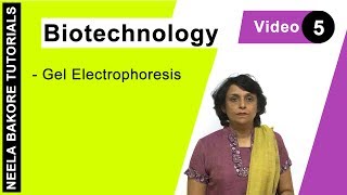 Biotechnology  NEET  Gel Electrophoresis  Neela Bakore Tutorials [upl. by Sage]