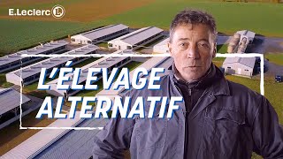 L’élevage alternatif – Eleveur de porcs en Bretagne  ELECLERC [upl. by Anehc]