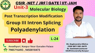 Group III Intron Splicing  Polyadenylation  Structure of mRNA  Lecture24 [upl. by Eirellav]