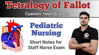 Tetralogy of Fallot  Pediatric Nursing [upl. by Anomas]