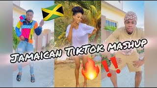 NEW JAMAICAN TIKTOK DANCE MASHUP 2024 [upl. by Naujyt]