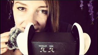 ASMR  Brushing amp Nibbling on Your Ears [upl. by Neiv]