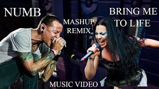 Linkin Park amp Evanescence  Numb Life Official Video  Mashup Numb amp Bring Me To Life [upl. by Dan485]