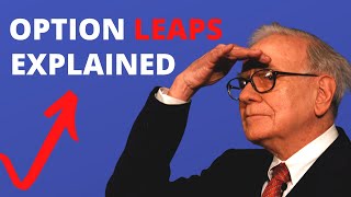 LEAP Options The Best Investment Strategy I’ve Ever Seen [upl. by Ahsac]