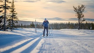 Trysil Skimaraton  et tradisjonsrikt skirenn [upl. by Atikat]