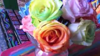 HOW TO Tie Dye Roses  DIY Rainbow Roses and Flowers [upl. by Uri]