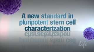 A new standard in pluripotent stem cell characterization  TaqMan® hPSC Scorecard™ Panel [upl. by Koziarz]