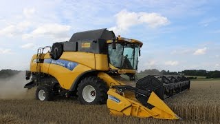 Harvest 2014 with New Holland CX 8060 [upl. by Lahcsap]