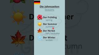 Seasons in German 🇩🇪 Die Jahreszeiten german easygerman learngerman youtubeshorts shortsfeed [upl. by Erdnaek]