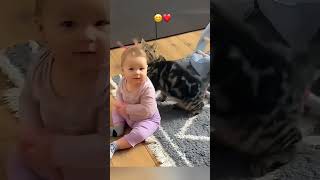 funny stories about babies and cats ❤️😍👶🏻🐈 [upl. by Uphemia]