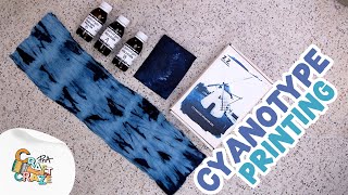 PNA  Craft Craze  DIY Cyanotype Print [upl. by Nyleuqcaj967]