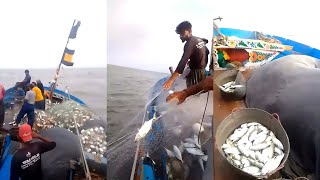 Fisher man fishing boat net fish Mackerel fish and Fisher [upl. by Alyacim578]