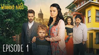 Wounded Birds  Episode 1  Multi Lang Subtitles Turkish Drama  Yaralı Kuşlar 2019 [upl. by Letsou]