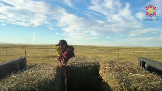 Searching for buffalo on Blackfoot territory [upl. by Kcirrem]