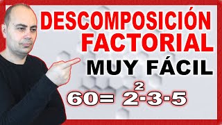 💥DESCOMPOSICIÓN FACTORIAL De NÚMEROS SÚPER FÁCIL 💥 Múltiplos y Divisores 💥 Primaria 2 [upl. by Wyon]