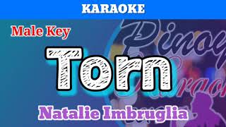 Torn by Natalie Imbruglia Karaoke  Male Key [upl. by Radborne]