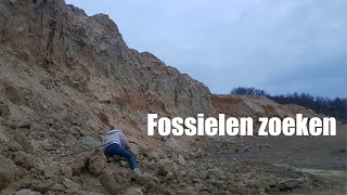 Fossielen zoeken [upl. by Infeld]