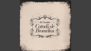 Catadô de Bromélias [upl. by Rowney714]