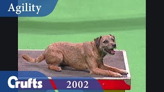 Agility Championship Final from Crufts 2002  Crufts Dog Show [upl. by Iglesias]