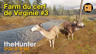 THE HUNTER COTW FARM DU CERF DE VIRGINIE 3 [upl. by Yesoj]